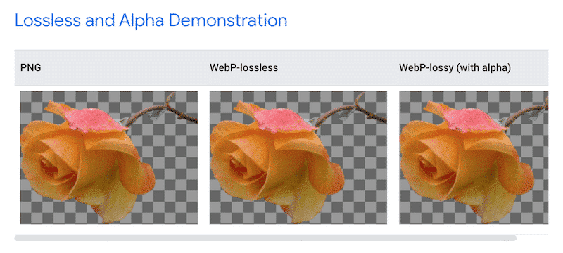 Next-gen Format and Browser Compatibility
