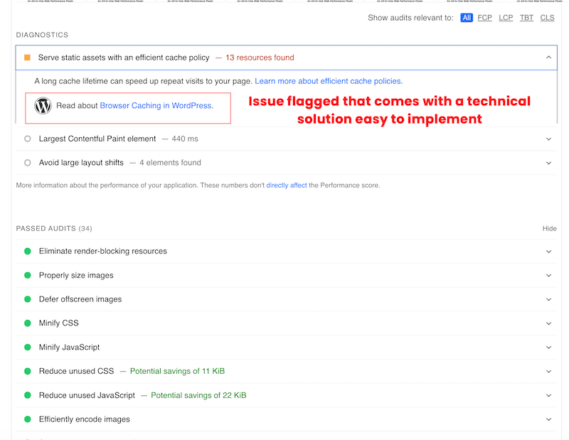 Issues + solution provided by PageSpeed Insights - Source: PageSpeed Insight