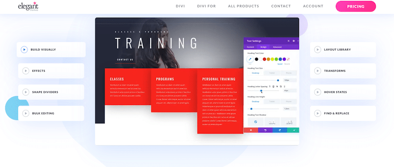 One of the most popular responsive theme with a powerful visual page builder - Source: Divi