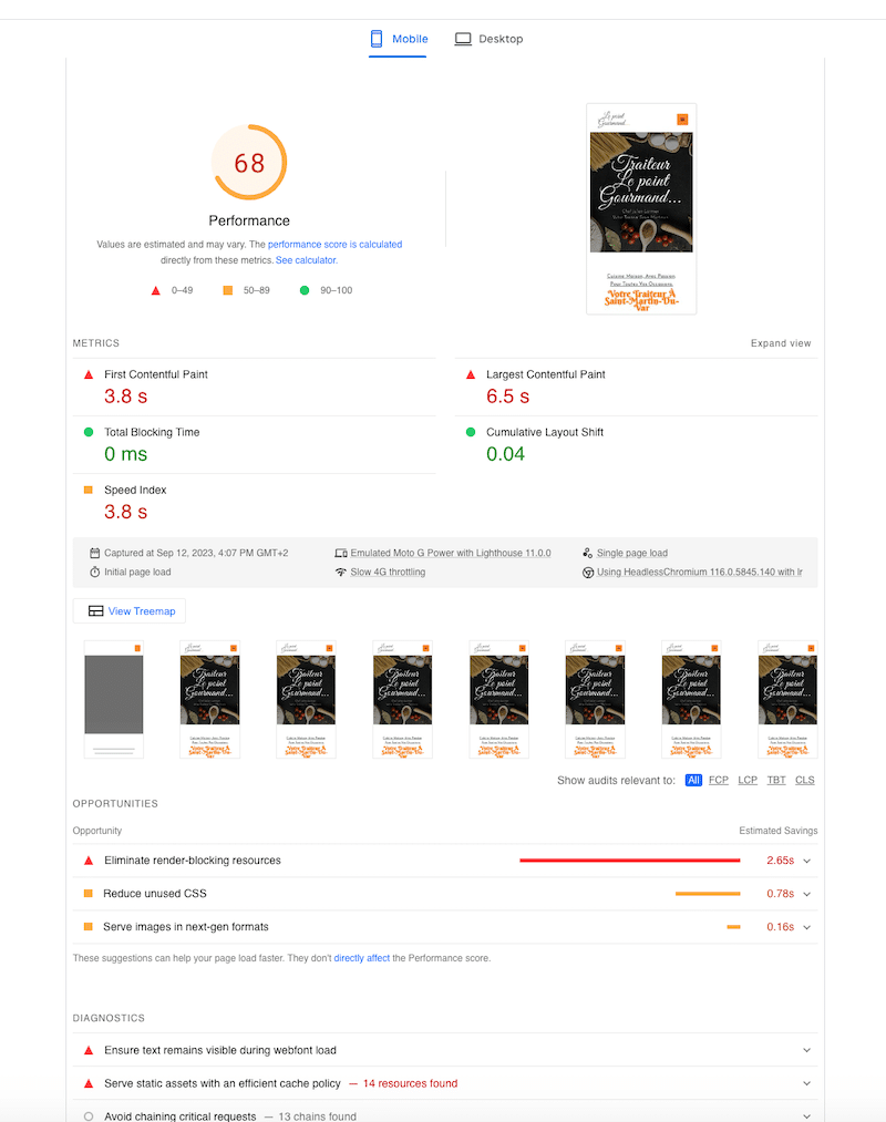 Testing my web performance to improve SEO - Source: PageSpeed