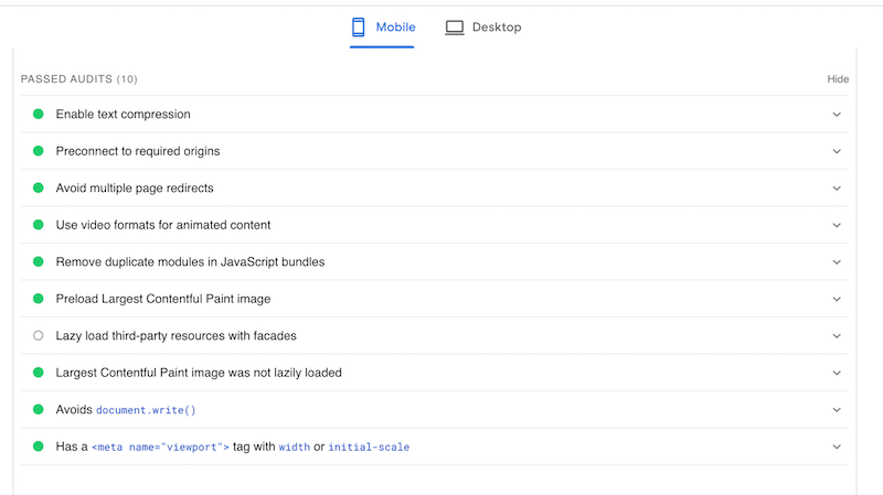 The Passed audits section - Source: PageSpeed Insights