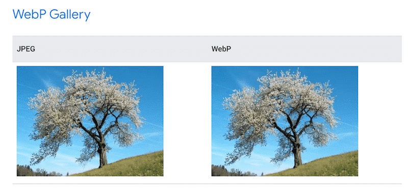 Unaltered image quality (JPEG vs WebP) - Source: Developers.Google